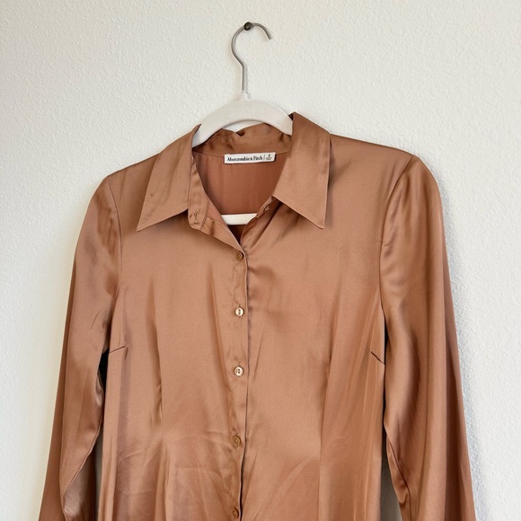 Abercrombie & Fitch Deep Bronze Satin Button Down Mini Shirt Dress - Picture 5 of 9